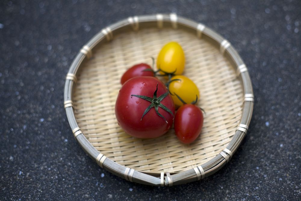 04_実りが語る土地の再興