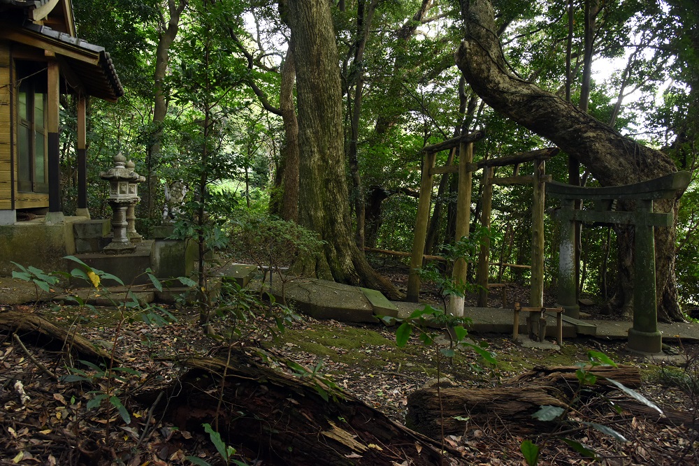 05_辻神社_池田勉撮影