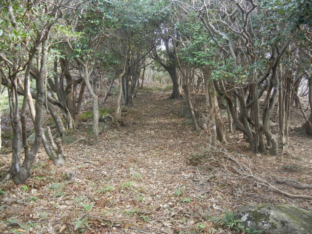 01_キリシタン集落をつないだ里道